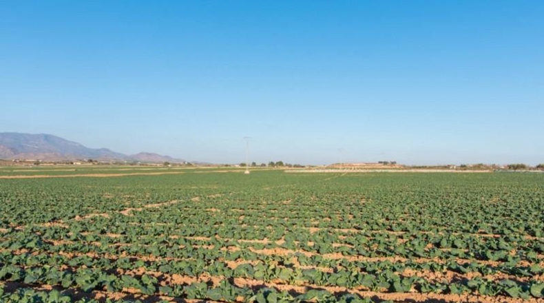 Murcia - Alhama de Murcia - 26740m2