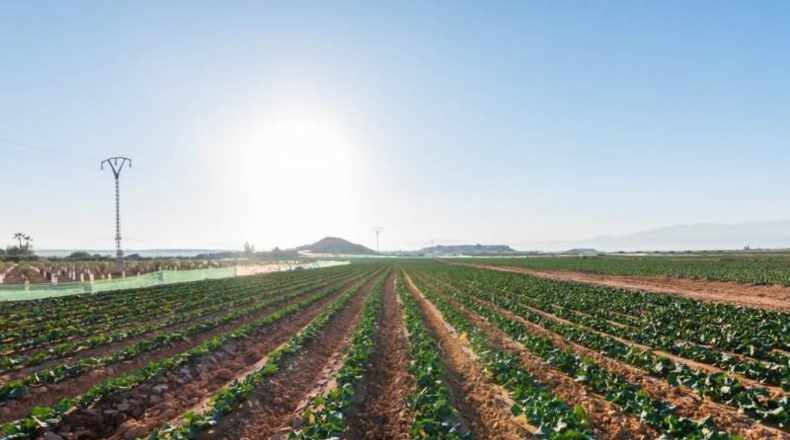 Murcia - Alhama de Murcia - 26740m2