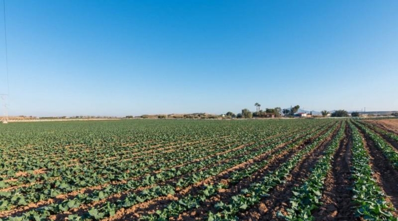 Murcia - Alhama de Murcia - 26740m2