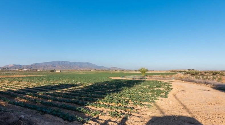 Murcia - Alhama de Murcia - 26740m2