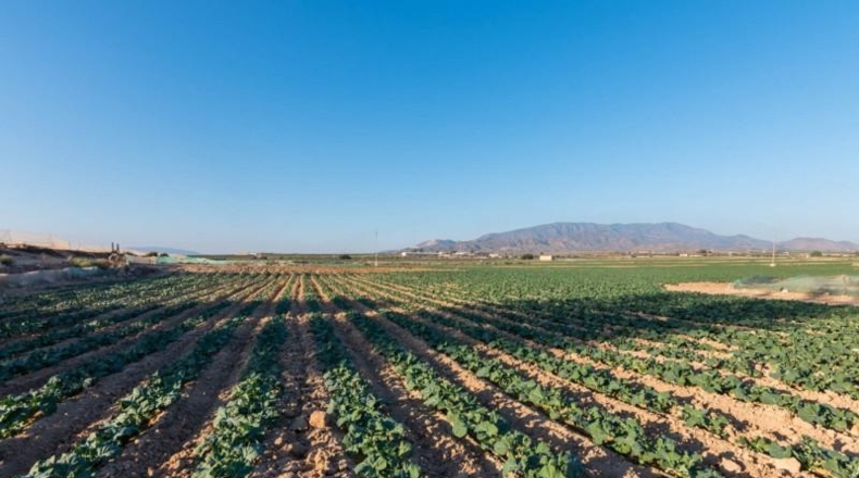 Murcia - Alhama de Murcia - 26740m2