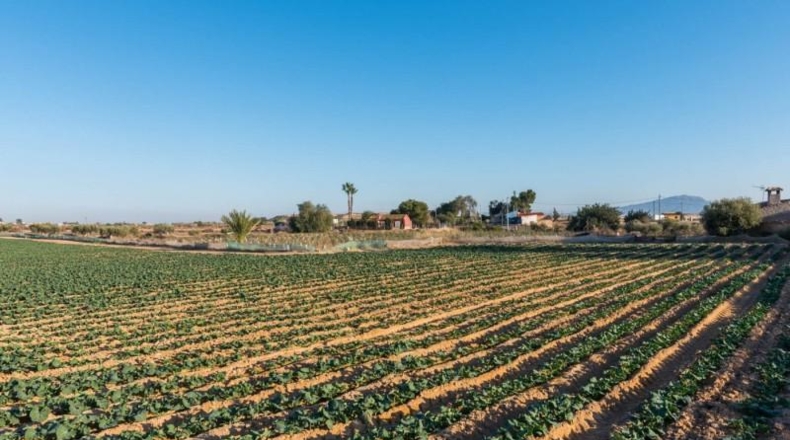 Murcia - Alhama de Murcia - 26740m2