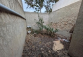 Xalet independent amb terreny en venda a la España, Matola, ref.: TR222186 foto