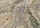 Detached villa with land for sale on España, Alcaraz, ref: TR144640 photo
