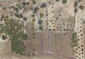 Detached villa with land for sale on España, Alcaraz, ref: TR144640 photo