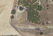 Detached villa with land for sale on España, Alcaraz, ref: TR144640 photo