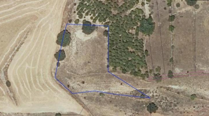 Albacete - Alcaraz - 825000m2