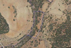 Alcaraz 825000&nbsp;m²