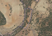 Detached villa with land for sale on España, Alcaraz, ref: TR144640 photo