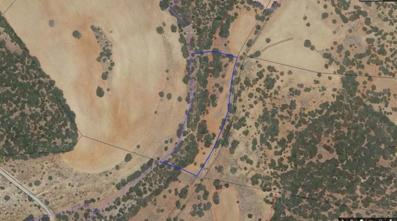 Albacete - Alcaraz - 825000m2