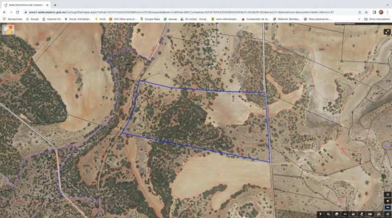 Albacete - Alcaraz - 825000m2
