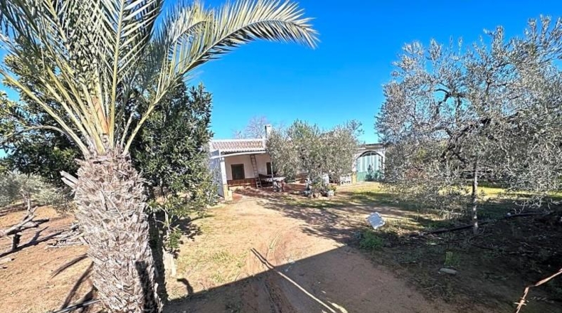 Sevilla - Utrera - 21765m2