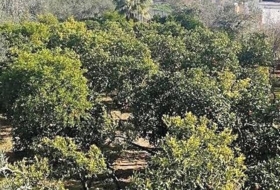 Foto 12
