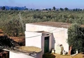 Casa de camp amb terreny en venda a la España, Utrera, ref.: TR154811 foto