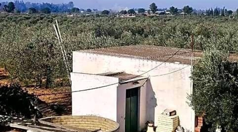 Sevilla - Utrera - 21765m2