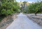 Detached villa with land for sale on España, Cozvíjar, ref: TR238407 photo