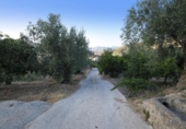 Detached villa with land for sale on España, Cozvíjar, ref: TR238407 photo