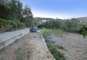 Detached villa with land for sale on España, Cozvíjar, ref: TR238407 photo