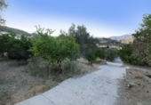 Detached villa with land for sale on España, Cozvíjar, ref: TR238407 photo
