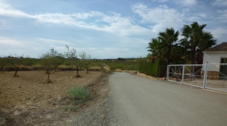 Alicante - Orihuela - 38434m2