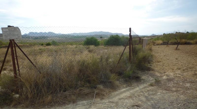 Alicante - Orihuela - 38434m2