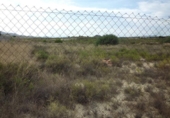 Chalet independiente con terreno en venta en la España, Orihuela, ref: TR374938 foto