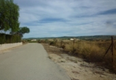 Chalet independiente con terreno en venta en la España, Orihuela, ref: TR374938 foto