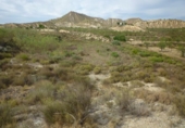Chalet independiente con terreno en venta en la España, Orihuela, ref: TR374938 foto