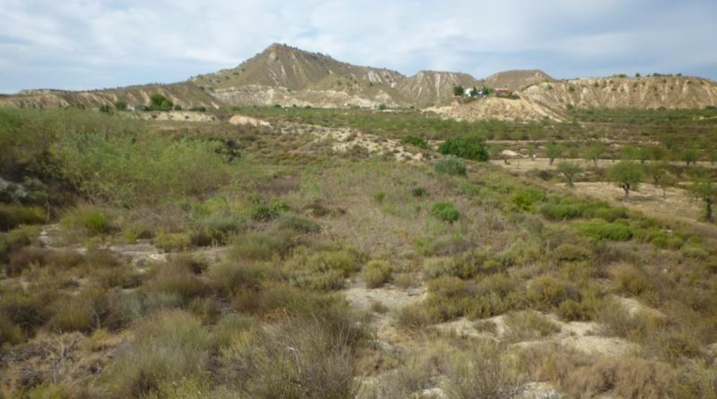 Alicante - Orihuela - 38434m2