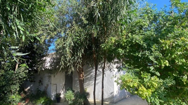 Alicante - Oriola - 600m2