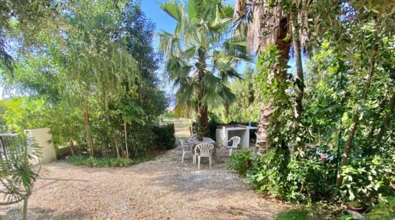 Alicante - Oriola - 600m2