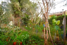 Muro 275&nbsp;m²