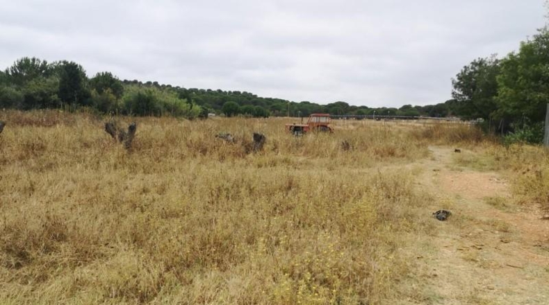 Huelva - Aljaraque - 180000m2