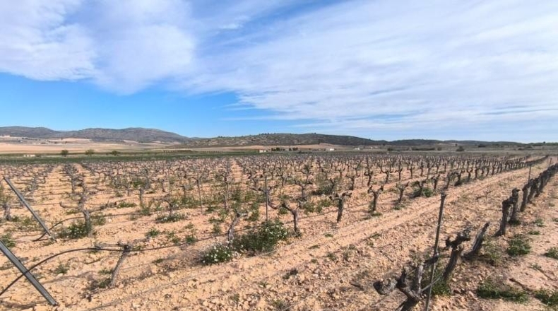 Murcia - Iecla - 7600m2