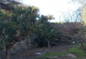 Casa de camp amb terreny en venda a la España, Vélez de Benaudalla, ref.: TR370527 foto