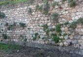 Casa de camp amb terreny en venda a la España, Vélez de Benaudalla, ref.: TR370527 foto