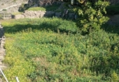 Casa de camp amb terreny en venda a la España, Vélez de Benaudalla, ref.: TR370527 foto