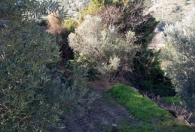 Vélez de Benaudalla 3100&nbsp;m² 