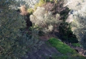 Casa de camp amb terreny en venda a la España, Vélez de Benaudalla, ref.: TR370527 foto