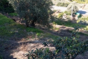 Vélez de Benaudalla 3100&nbsp;m² 