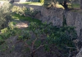 Casa de camp amb terreny en venda a la España, Vélez de Benaudalla, ref.: TR370527 foto