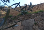 Casa de camp amb terreny en venda a la España, Vélez de Benaudalla, ref.: TR370527 foto