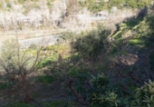 Casa de camp amb terreny en venda a la España, Vélez de Benaudalla, ref.: TR370527 foto