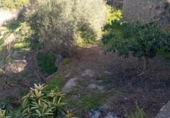 Casa de camp amb terreny en venda a la España, Vélez de Benaudalla, ref.: TR370527 foto