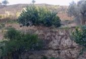 Casa de camp amb terreny en venda a la España, Vélez de Benaudalla, ref.: TR370527 foto