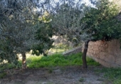 Casa de camp amb terreny en venda a la España, Vélez de Benaudalla, ref.: TR370527 foto