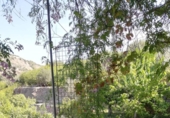 Casa de camp amb terreny en venda a la España, Vélez de Benaudalla, ref.: TR370527 foto