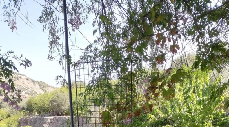 Granada - Vélez de Benaudalla - 3100m2
