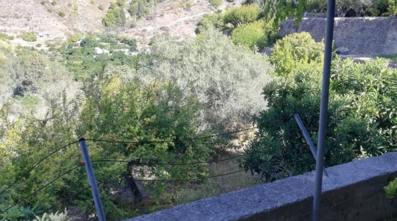 Granada - Vélez de Benaudalla - 3100m2
