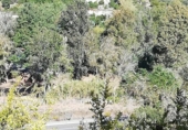 Casa de camp amb terreny en venda a la España, Vélez de Benaudalla, ref.: TR370527 foto